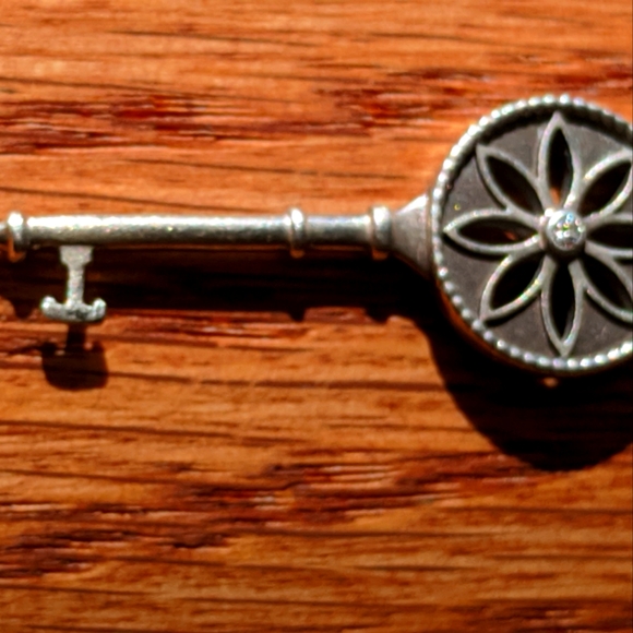 Tiffany & Co. Daisy key and chain. - Picture 6 of 6